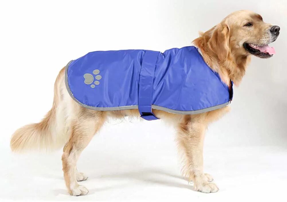 Попона для собак. Icepeak pet попона. попона rango для собак. попона для собак triol ffp013 xxl. попона для собак triol ffp013 xl.