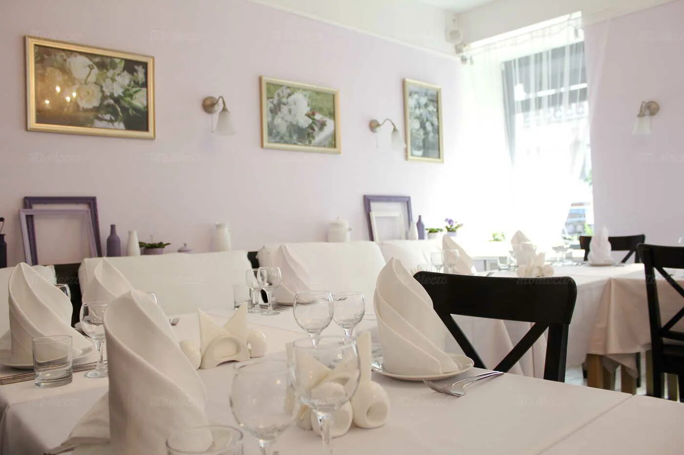 Розмарин растение. Ресторан розмарин еловое реклама ресторана. Розмарин ресторан логотип калининград. Розмарин растение. Столовая розмарин.