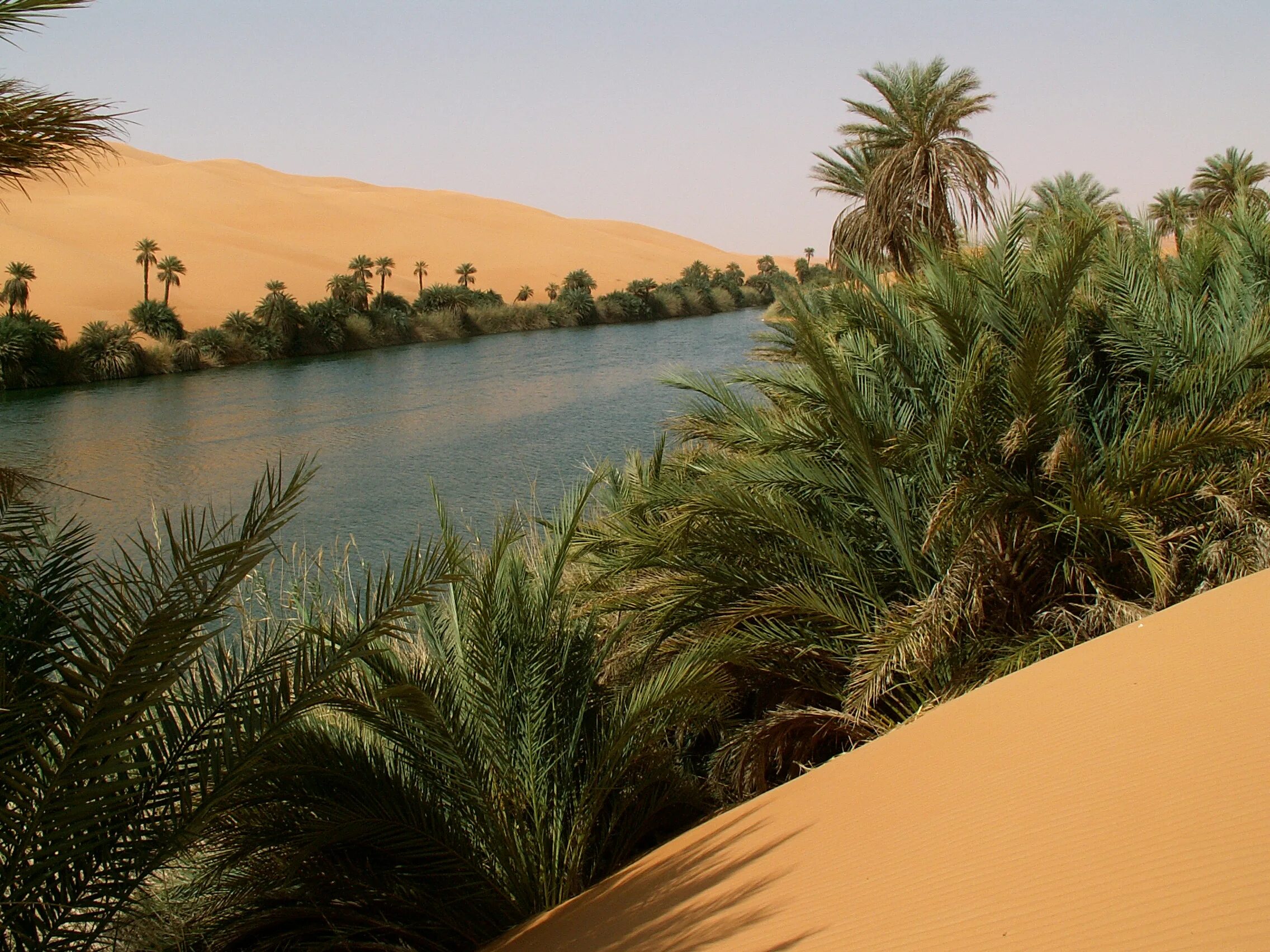 Оазисы температура. Оазис вади бани халид. Оазис убари ливия. Оазис уакачина. Оазисы температура.