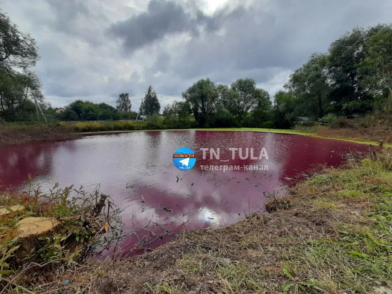 Почему вода тула. Михалково Тульская область поселок. Пруд Тула. Дорофеевский пруд в Туле. Красный водоем.