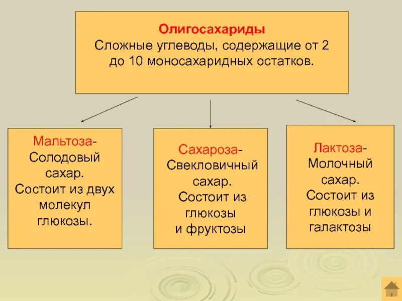 Содержат от 2 до