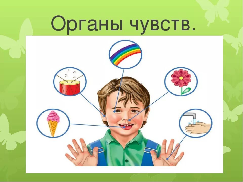 Органы чувств задания. Органы чувств. Органы чувств для детей. Рисунок на тему органы чувств. Название органов чувств.