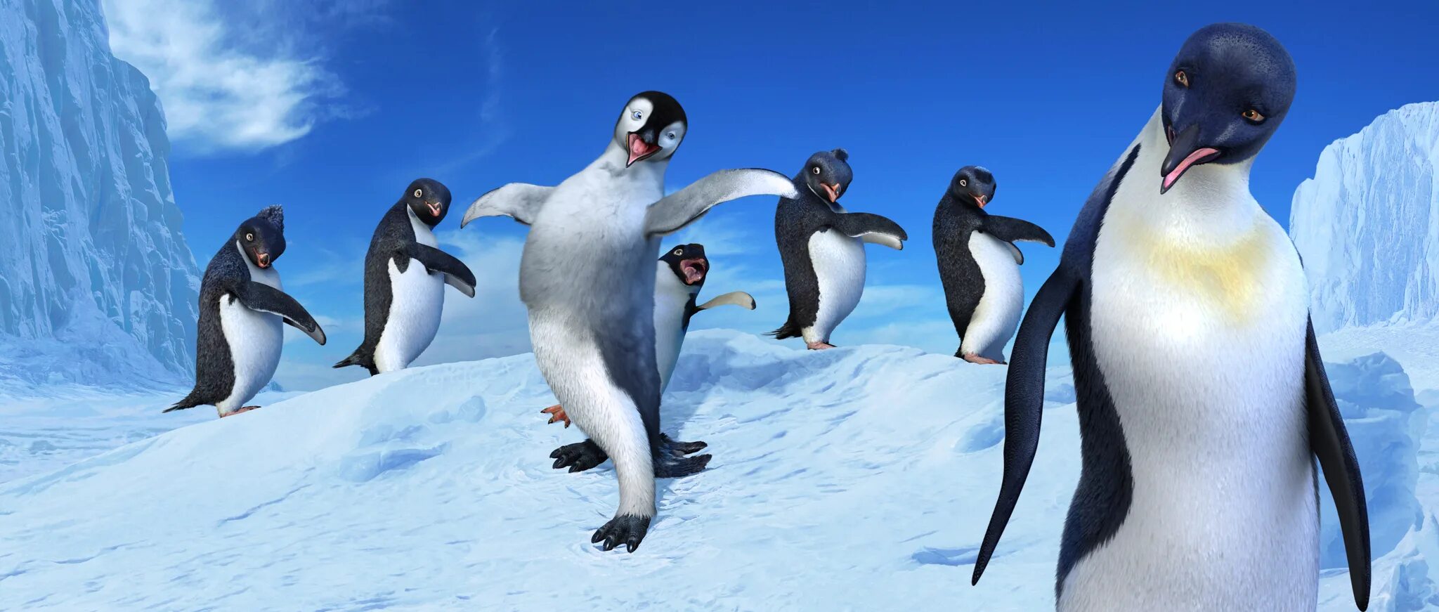 Пингвин делай ноги. Happy feet 2006. ноги пингвина.