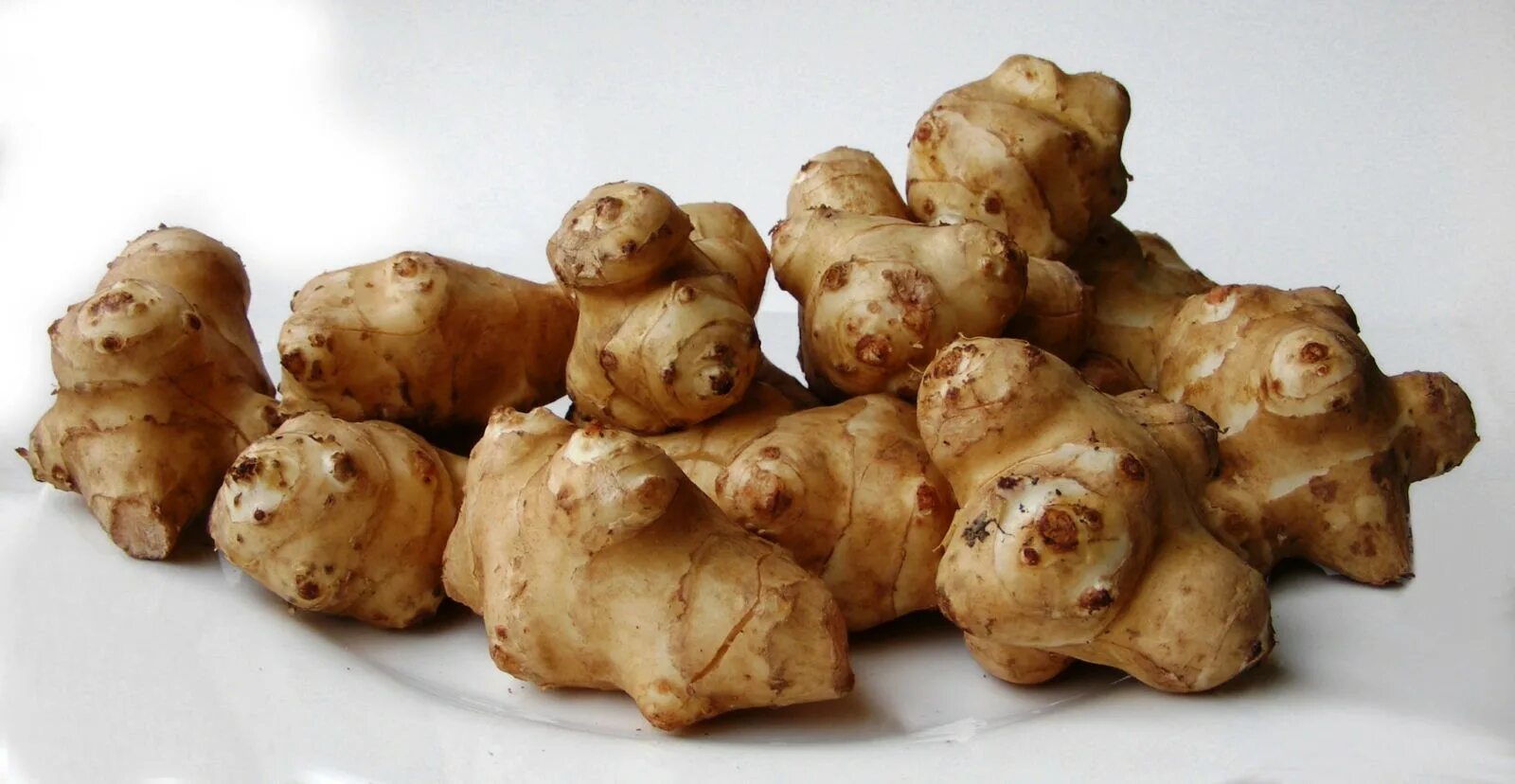 Как называется земляная. Топинамбур сорт скороспелка. Дикая картошка топинамбур. Как называется земляная. Чуфа сыть.