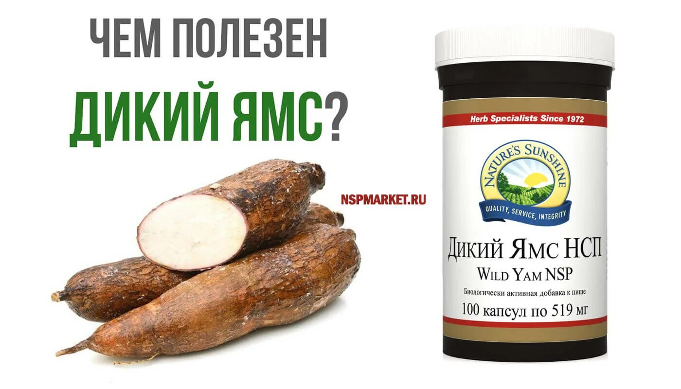 Дикий ямс применение. NSP дикий ямс. Дикий ямс НСП капсулы. Дикий ямс (Wild Yam). Дикий ямс 500 мг.