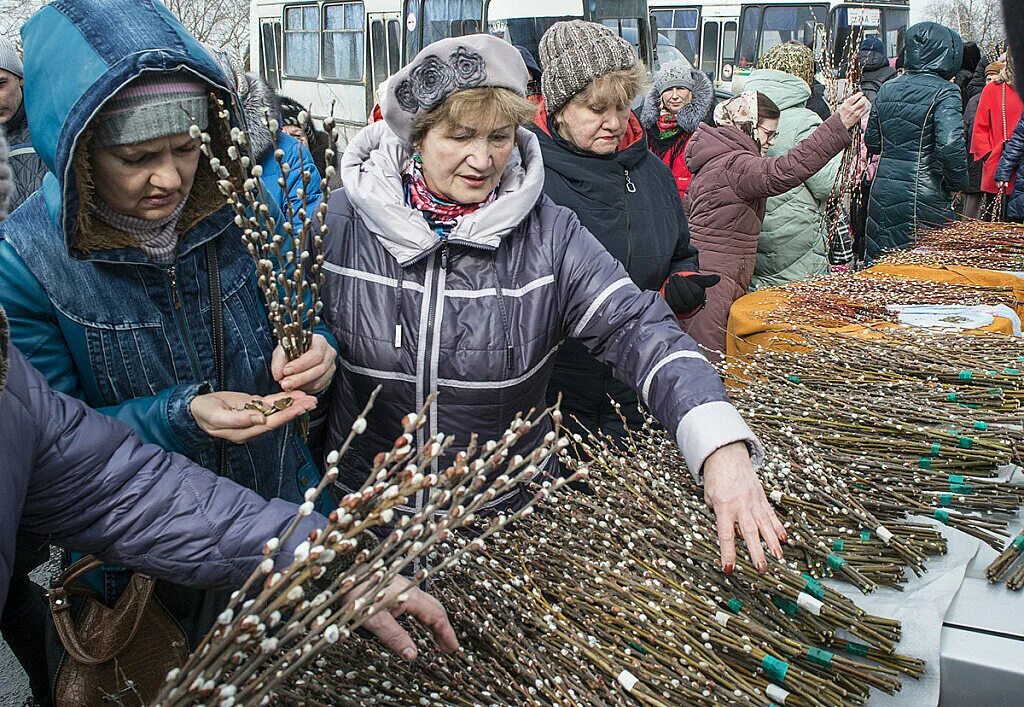 Вербное 2022. Верба освященная Вербное воскресенье. С Вербным воскресеньем. Вербное воскресенье 2022. Когда будет вербная неделя