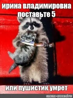 Скинь деньги пушистик