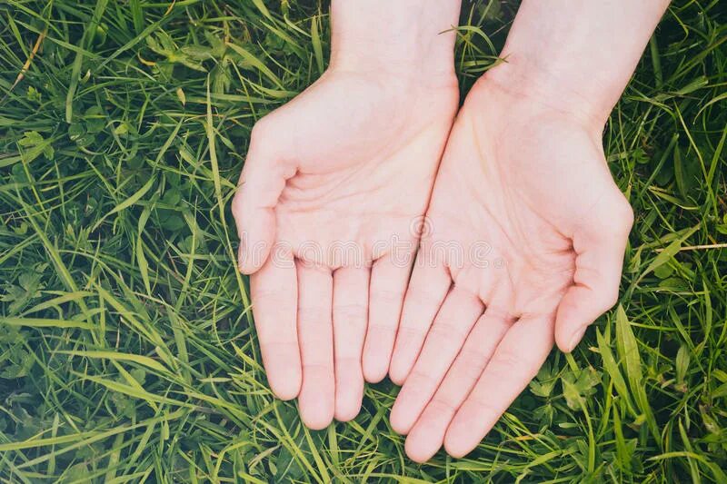 Мужики орут друг на друга. Open to each other. Разговор в компании. Open to each other. Open to each other.