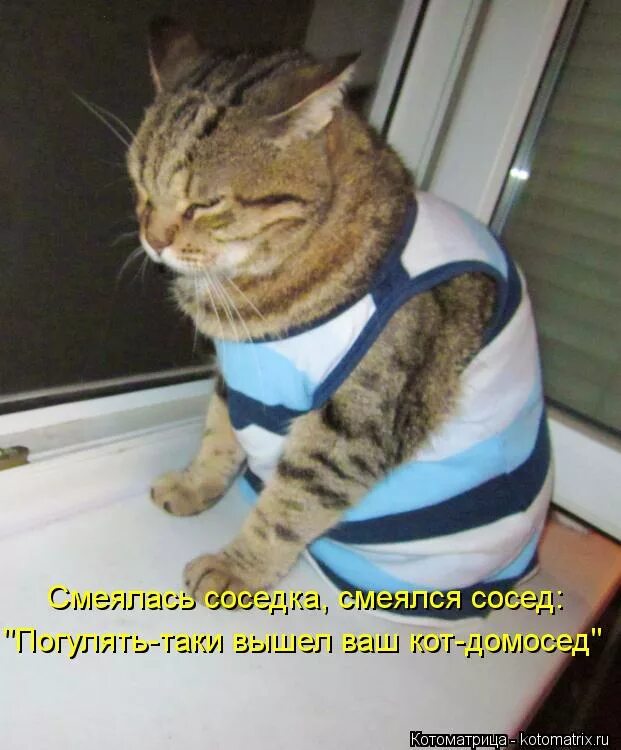 Твой хозяин есть