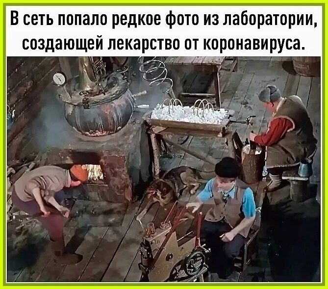 Включи как они попали