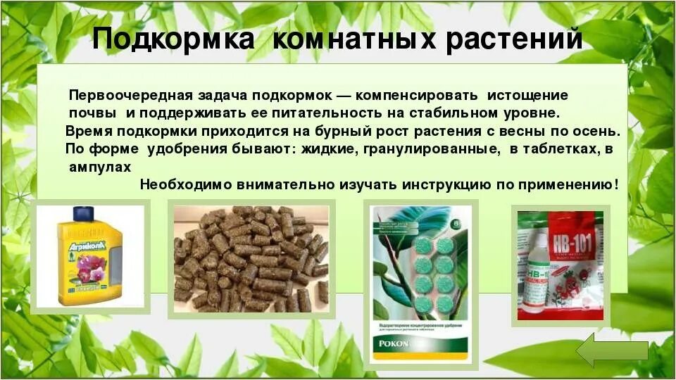 Удобрения в жизни растений. Внесенные в почву азотные удобрения. Для чего нужны удобрения. Фосфорные удобрения названия. Удобрение органическое.