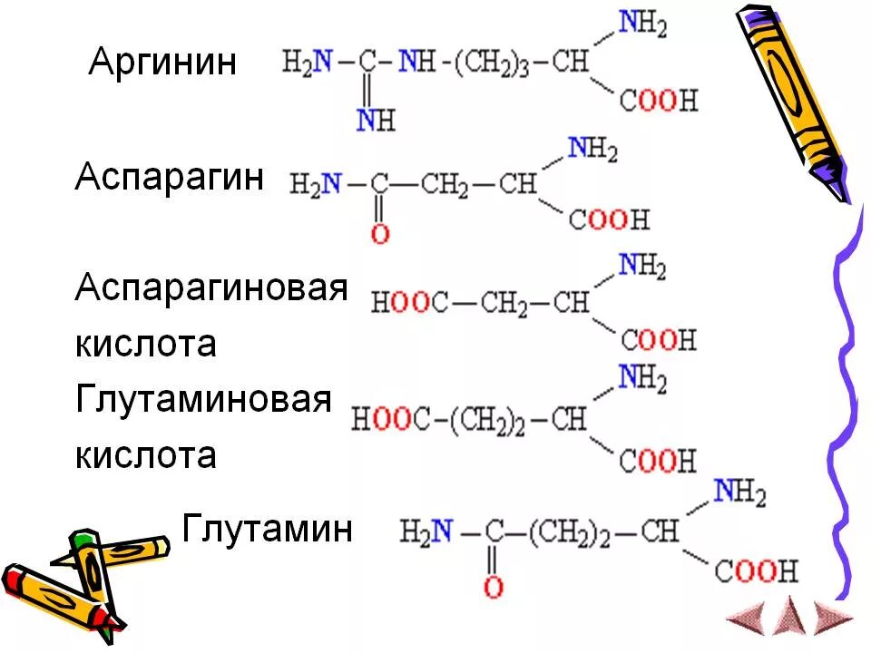 Аспарагиновая кислота формула аминокислоты. Аспарагиновую кислота + цистеин формула. Аспарагиновая кислота структурная формула. Амид аспарагиновой кислоты формула.