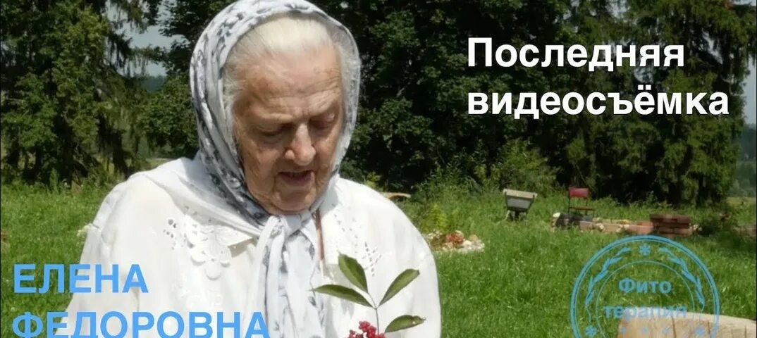 Монастырская травница е.ф. Зайцева. Монастырская травница Зайцева книга.