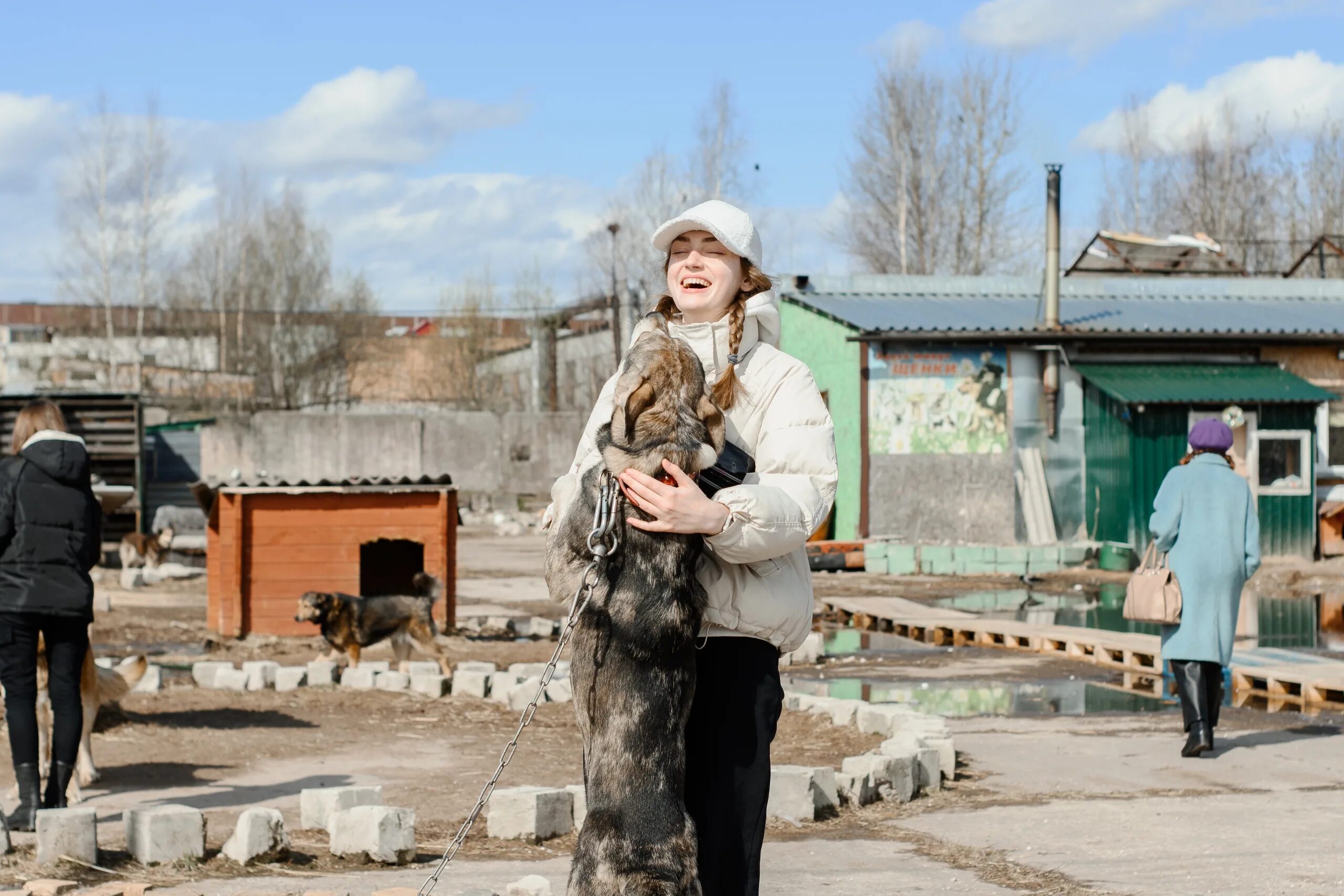 Приют лесопилка. Волонтеры в приюте. Зооприюты. Приют для животных шанс Псков.