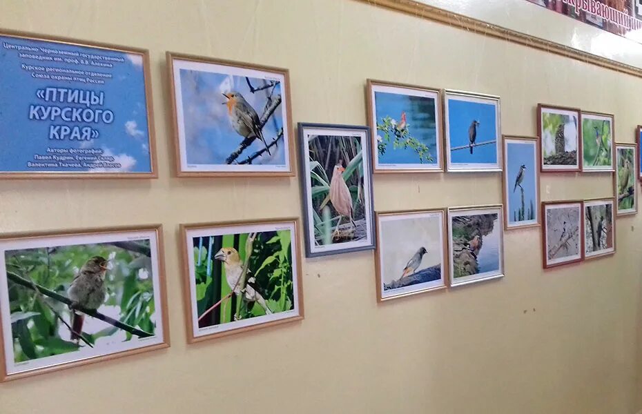 Фотовыставка "Народов много - Родина одна" в Тамбове ТОП68