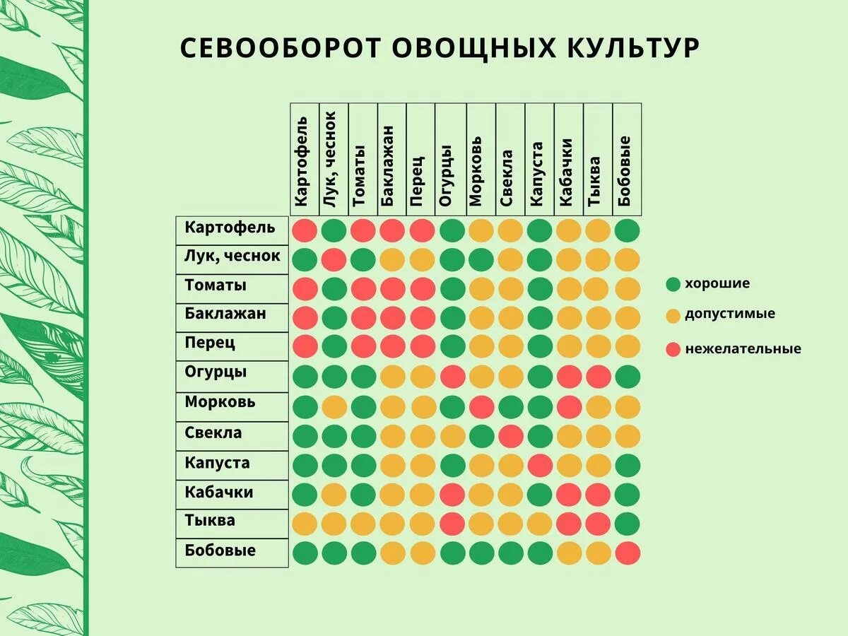Что посадить на следующий год