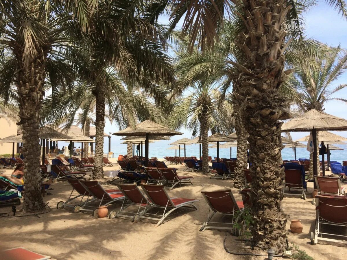 Miramar al aqah beach фуджейра. Фуджейра мирамар 5. оаэ , фуджейра,отель miramar al aqah beach resort. miramar дубай. пляж мирамар фуджейра.