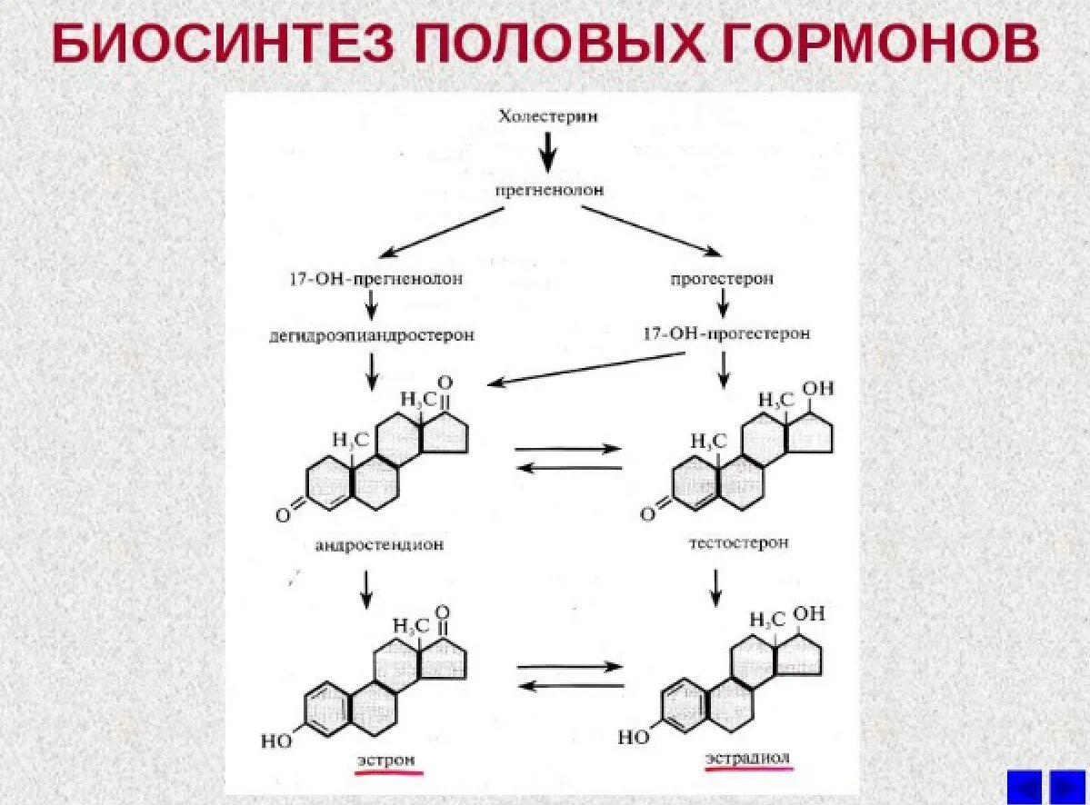 Участвуют в синтезе гормонов. Схема синтеза стероидных гормонов. Синтез стероидных гормонов из холестерина схема. Холестерин Синтез стероидных гормонов. Схема образования половых гормонов.