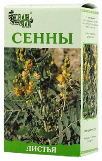 Листья сенна остролистная. Сенна трава в таблетках. 5г. Сенна лекарственная трава. Слабительный чай листья сенны.