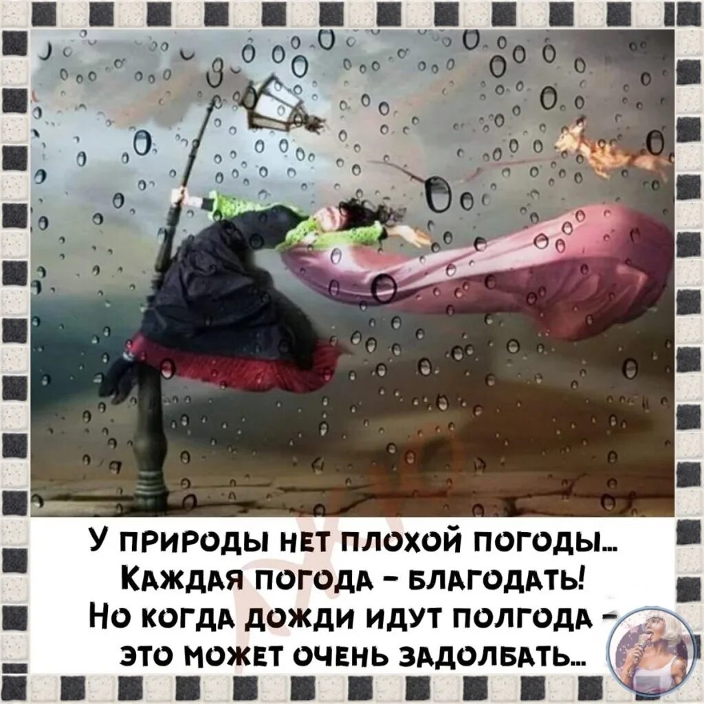Ветер подул с юга чувствую будет дождь. Смешные цитаты про дождь. дождь смешно. приколы про непогоду. высказывания про дождь веселые.
