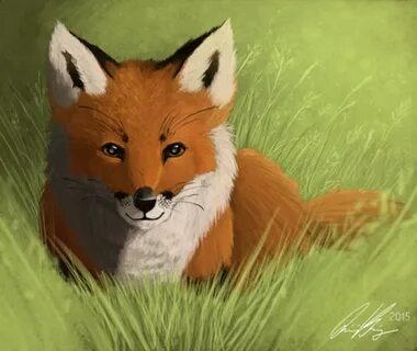 1 лисички