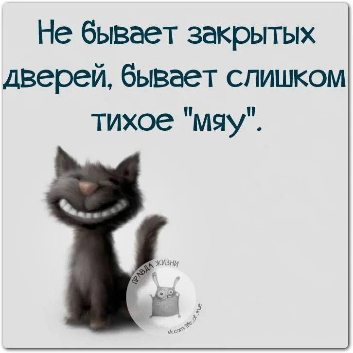 Не смешные выражения. Смешные цитаты. смешные афоризмы. прикольные высказывания. прикольные фразы.