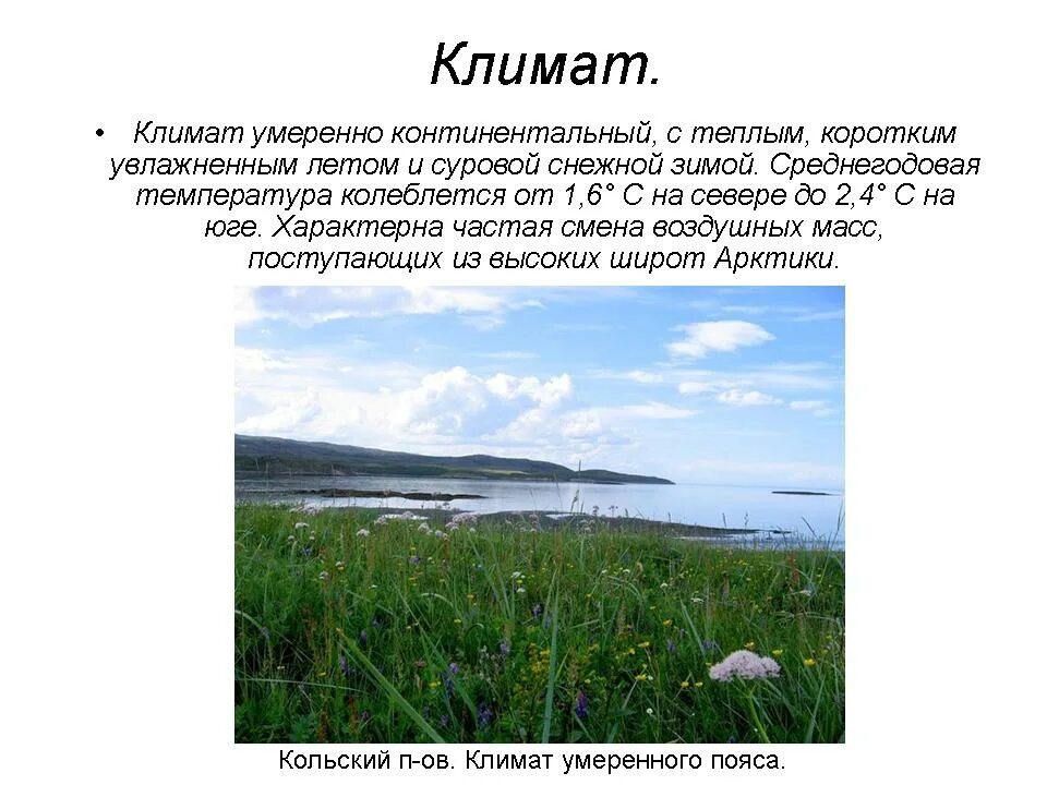 Климатические особенности северного урала. Климат в Западно экономическом районе. Климат Северного экономического района. Северный экономический район лето. Климат Северного Урала.