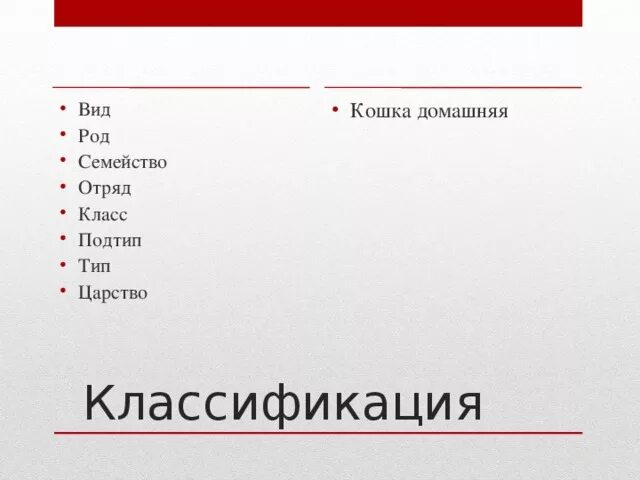 Человек тип класс отряд. Тип подтип класс отряд семейство род вид. царство тип класс отряд семейство род. вид род семейство отряд подтип тип царство. семейство, род, отряд, класс, тип, подтип, царство.