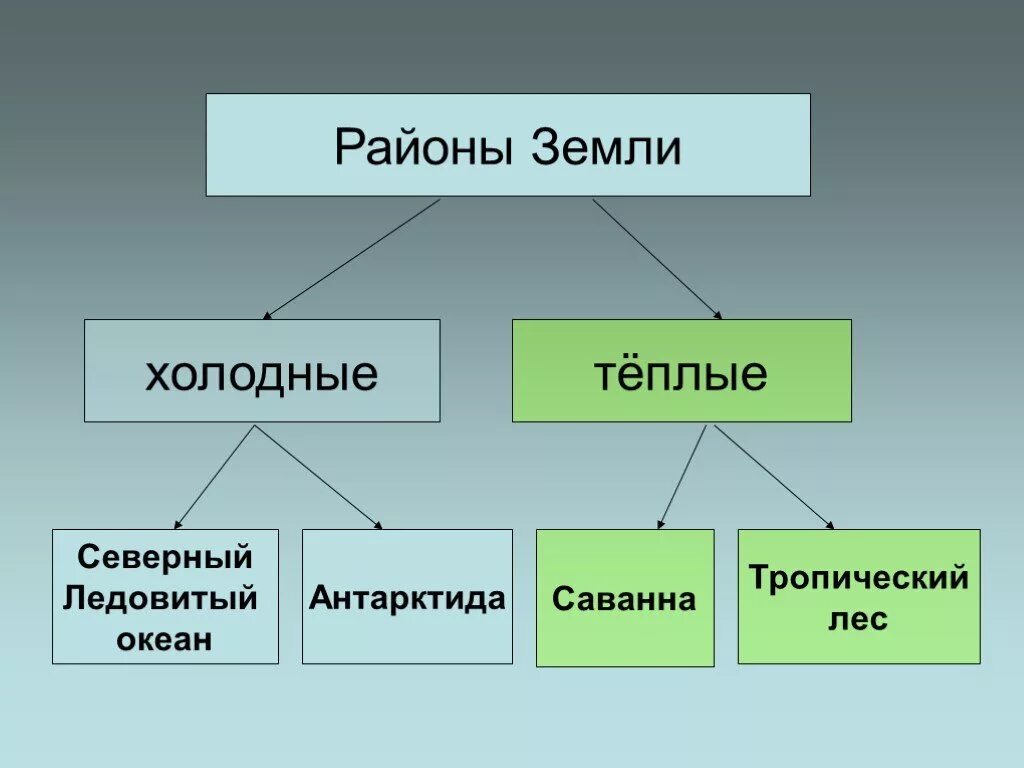 Теплые и холодные почвы