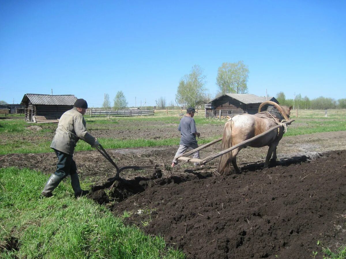 На какой передаче пахать. Что такое плуг в сельском хозяйстве. Лошадь в сельском хозяйстве. Пашня плугом. Пахать землю.