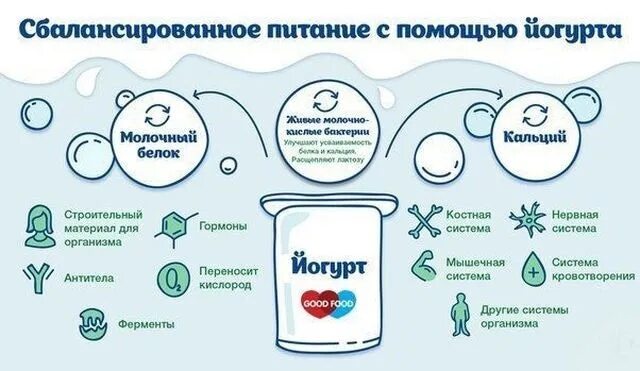 Микрофлора йогуртов