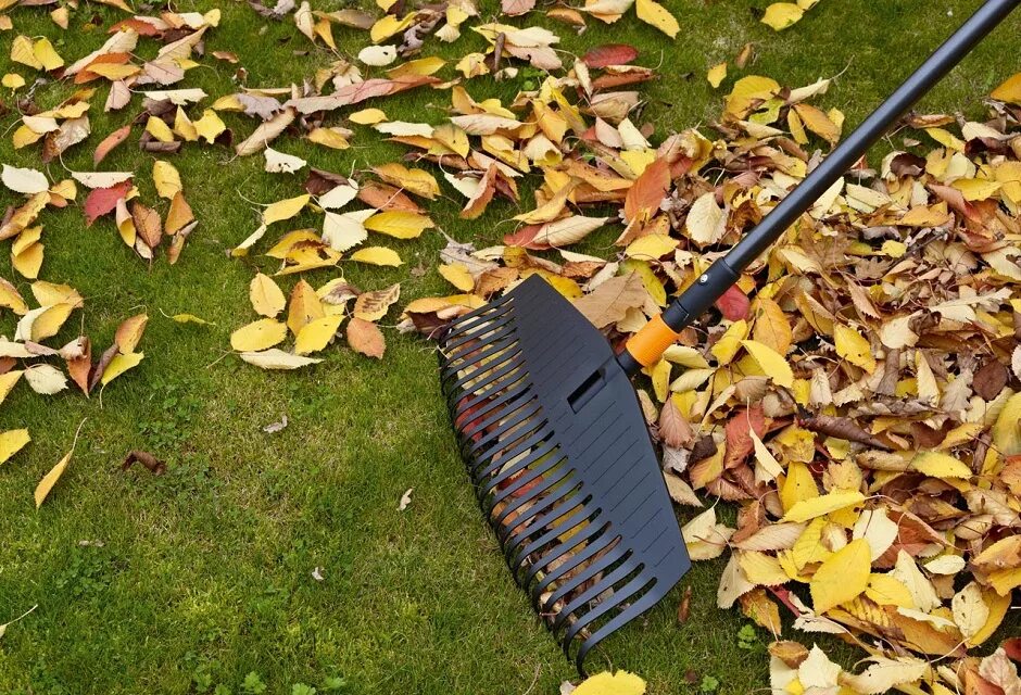 Опавшие листья уборка. Грабли fiskars 135014. уборка листьев в саду. опавшая листва в саду. уборка осенних листьев.