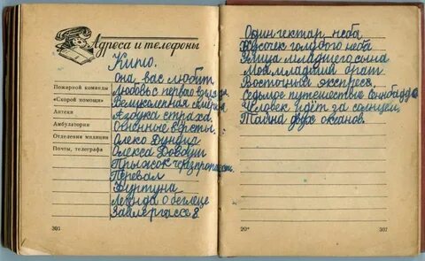 Номер в книжке записной