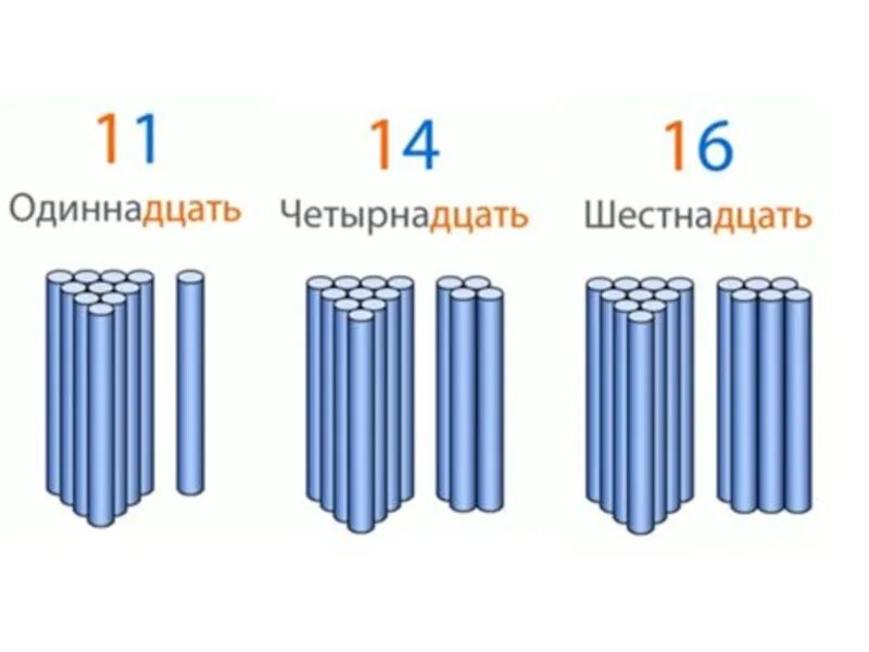 Прошедший не один десяток. Десяток. Десяток палочек. Палочки десятки и единицы. Десяток изображения.