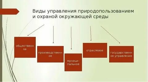 Система управления природопользованием и охраной