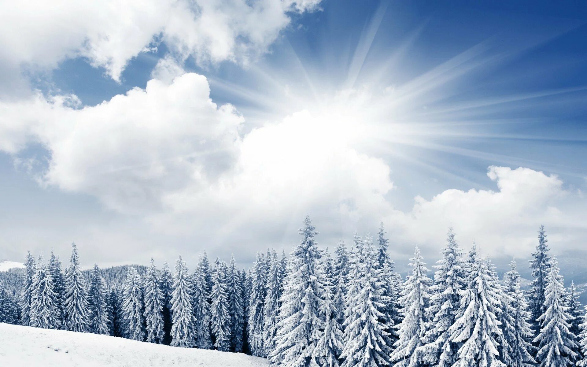 Зимний день воздух. Зимнее небо. Зимний лес. Зимнее небо и солнце. Красивый зимний лес.