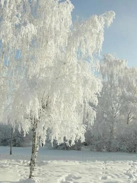 Снежная кайма. Тесьма с кисточками. Бахрома импортная оранжевый тесьма 3001 сol:03. Белая бахрома. Тесьма бахрома samba js.