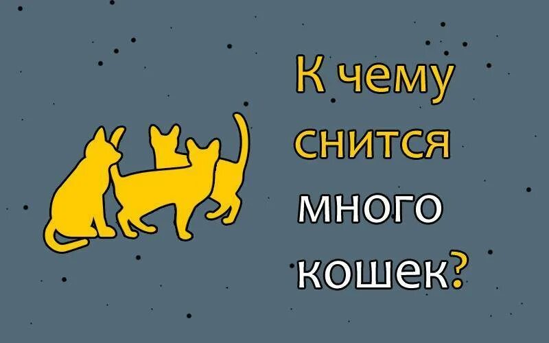 К чему снится много кошек женщине