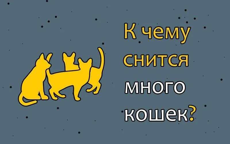 К чему снятся кошки женщине много