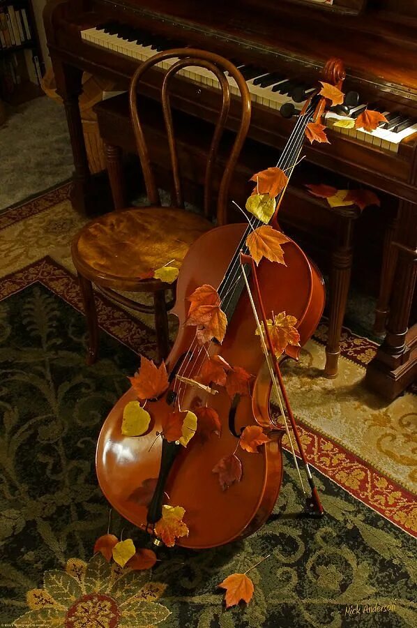 Violin cello. Виолончель. Виолончель музыкальный инструмент. Осенняя скрипка. Скрипка музыкальный инструмент.