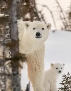 Ours source
