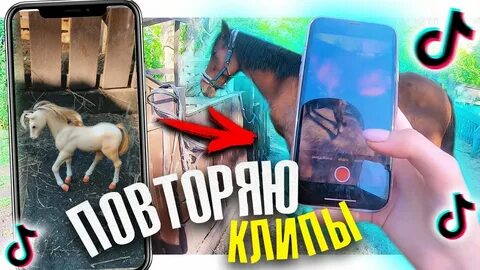Лошадь в тик токе