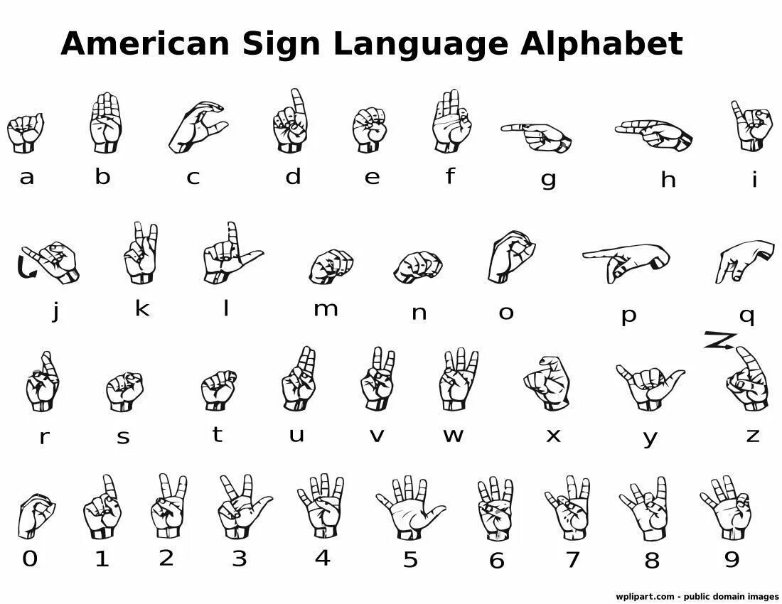 Американский язык жестов асл. Американский дактильный алфавит. Язык жестов алфавит английский. Азбука жестов на английском. Глухой на английском