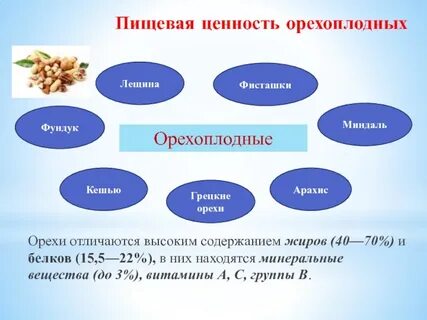Орехи питательные вещества