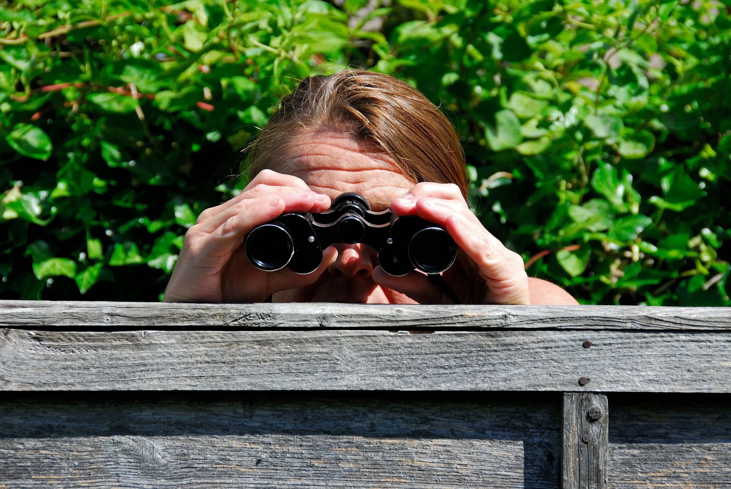 Подглядываем глазком. Шпионит из-за головы. Spying on. Pair of Binoculars. Look through Binoculars.