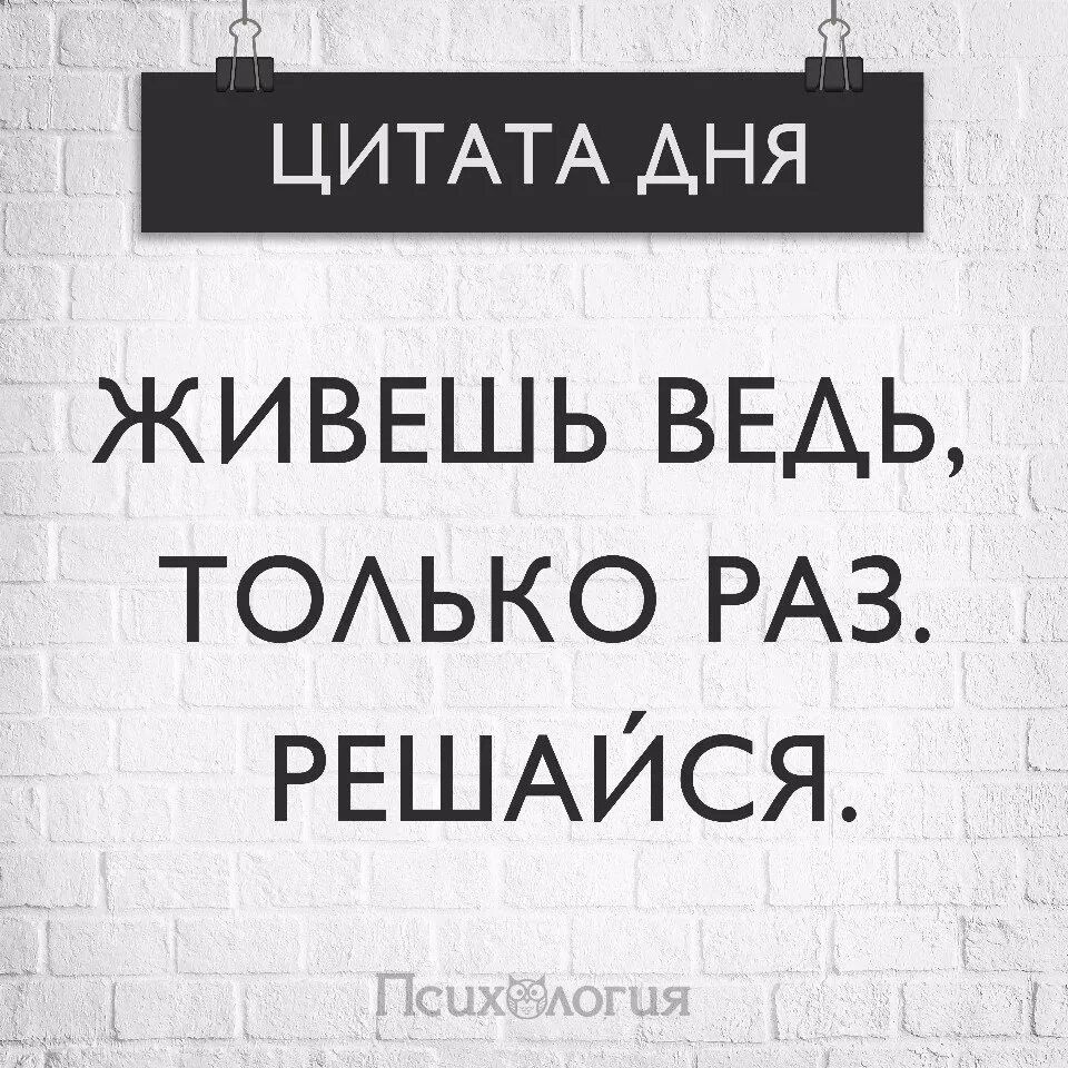 Мы живем 1 раз. Живём один раз цитаты. Цитата дня. Высказывания живем один раз. Жить одним днем цитаты.