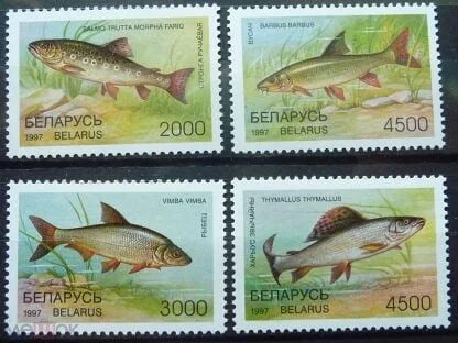 Беларусь 1997