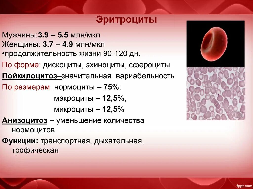 Лейкоциты 10 у мужчин. Эритроциты в крови4.09. В норме в 1 мл крови содержится эритроцитов. Гемоглобин 4,80. Количество эритроцитов в 1 литре крови в норме.