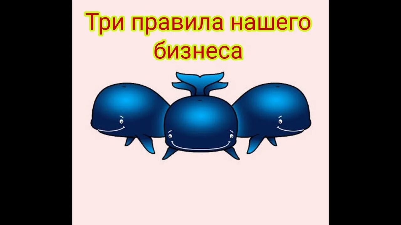 3 кита про кита. Три кита. Три кита науки. Три кита нового времени. Правило три кита.