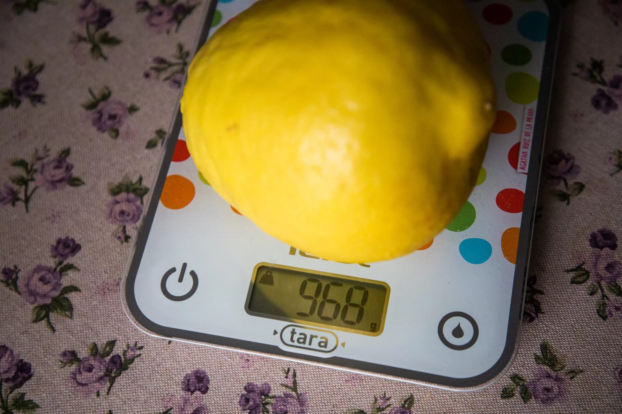 Вес 1 лимона. Самые большие лимоны. Килограмм лимона. Лимон вес 1 шт. Вес одного лимона.
